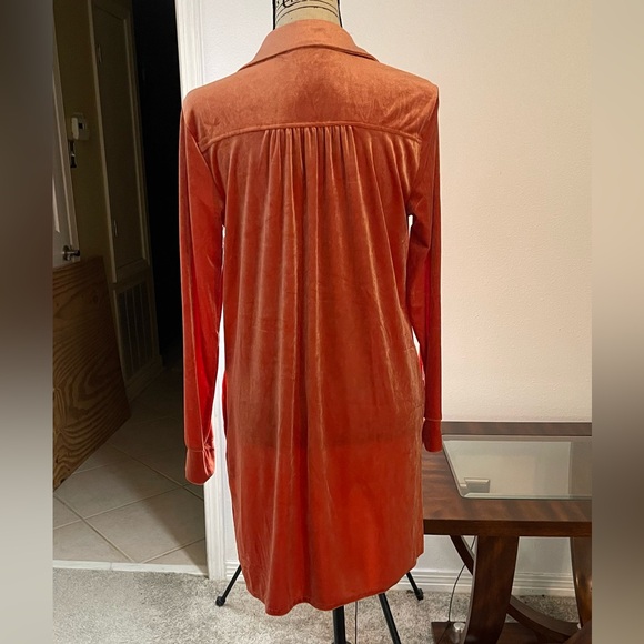 Velvet Button-Up Dress in Rust in size Medium excellent condition - Picture 6 of 9